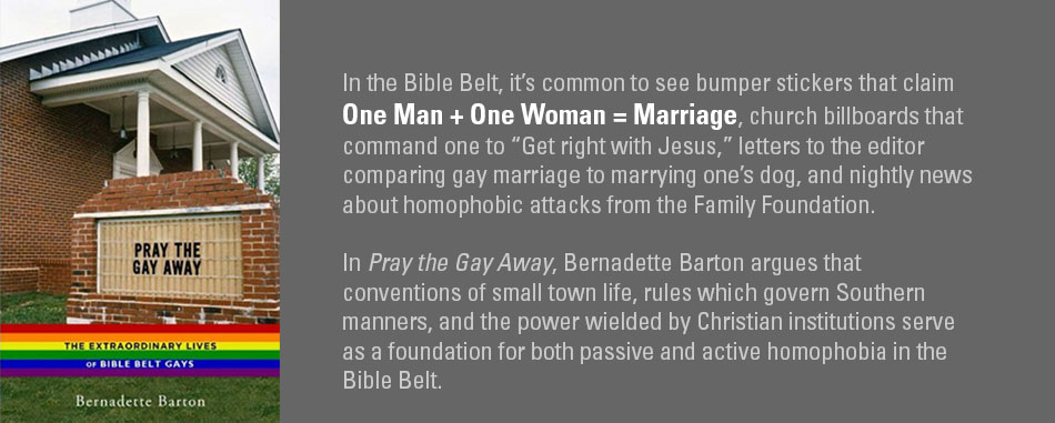 Pray the Gay Away, book